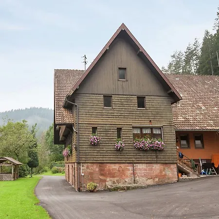 Spacious In Black Forest With Balcony *