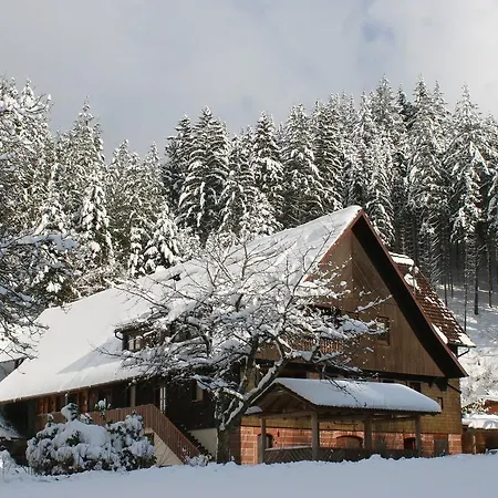 Spacious In Black Forest With Balcony Bad Rippoldsau-Schapbach