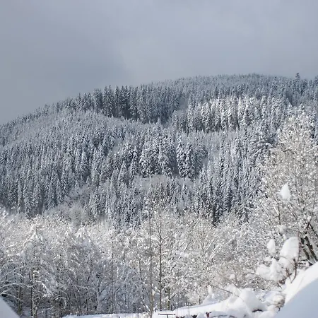 Spacious In Black Forest With Balcony Bad Rippoldsau-Schapbach