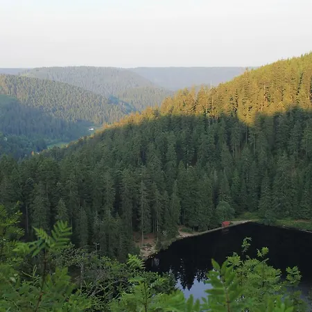 Spacious In Black Forest With Balcony Holiday home